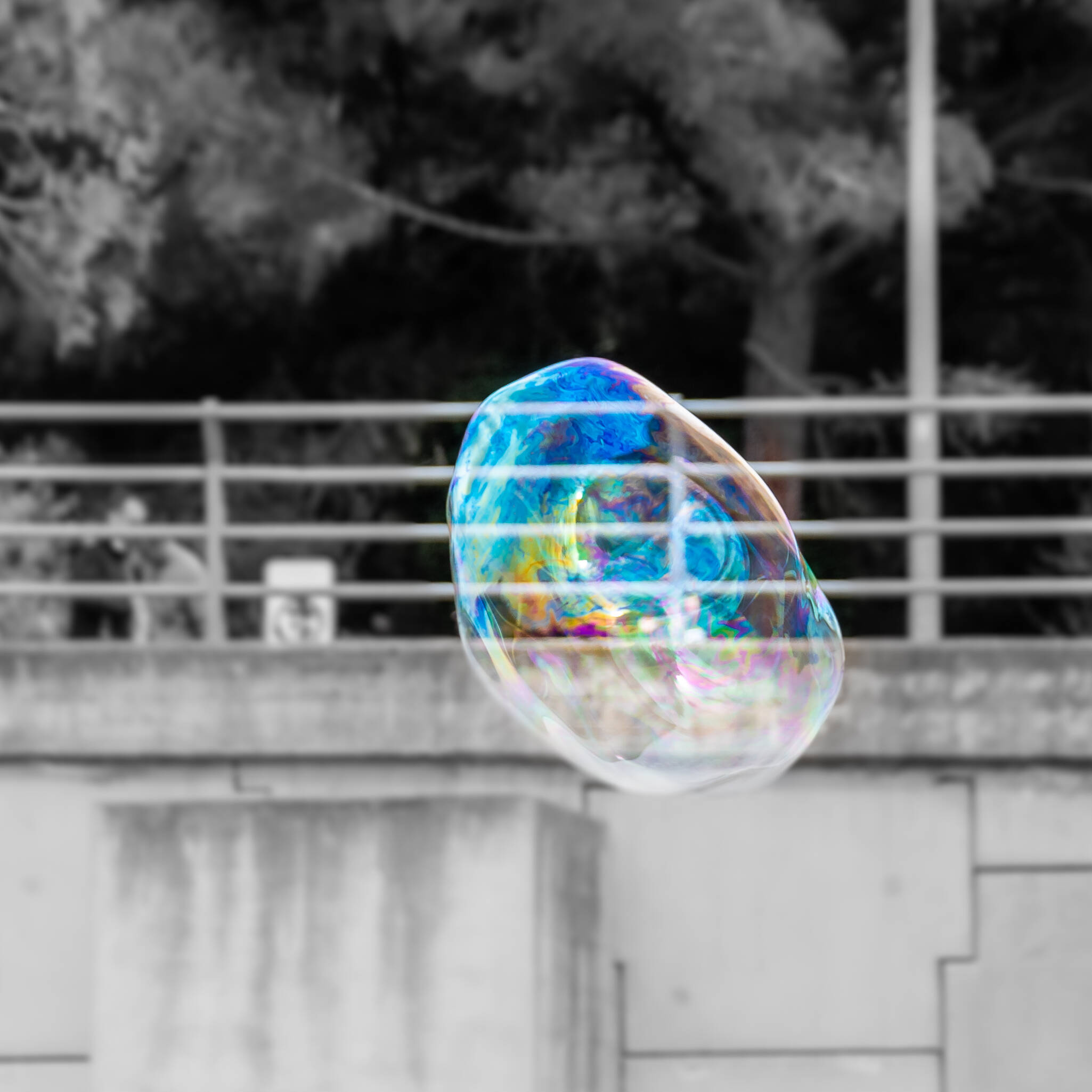 Circo 210417 113