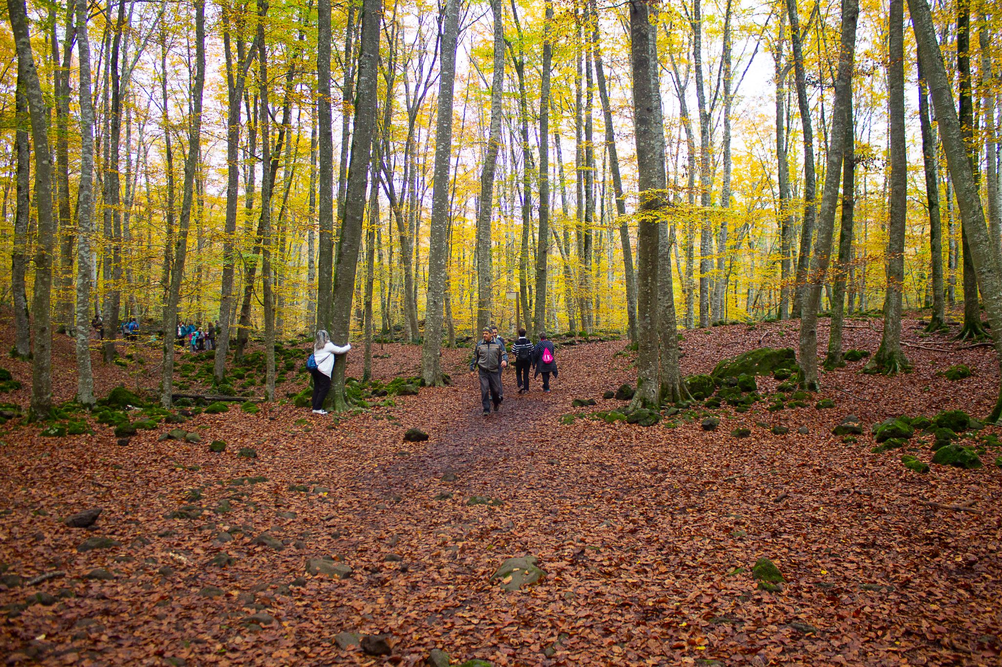  MG 2927