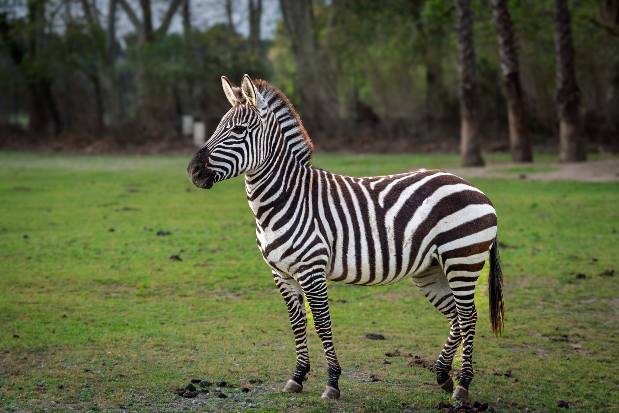 Sigean 20250405 1842